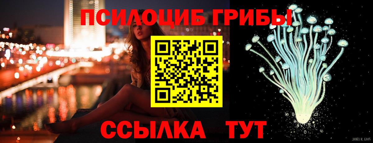 Псилоцибиновые грибы Magic Shrooms  Вход с VPN  что такое   Псилоцибиновые грибы GOLDEN TEACHER  Норильск 